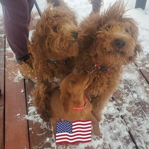 Meet your Posher, Jan